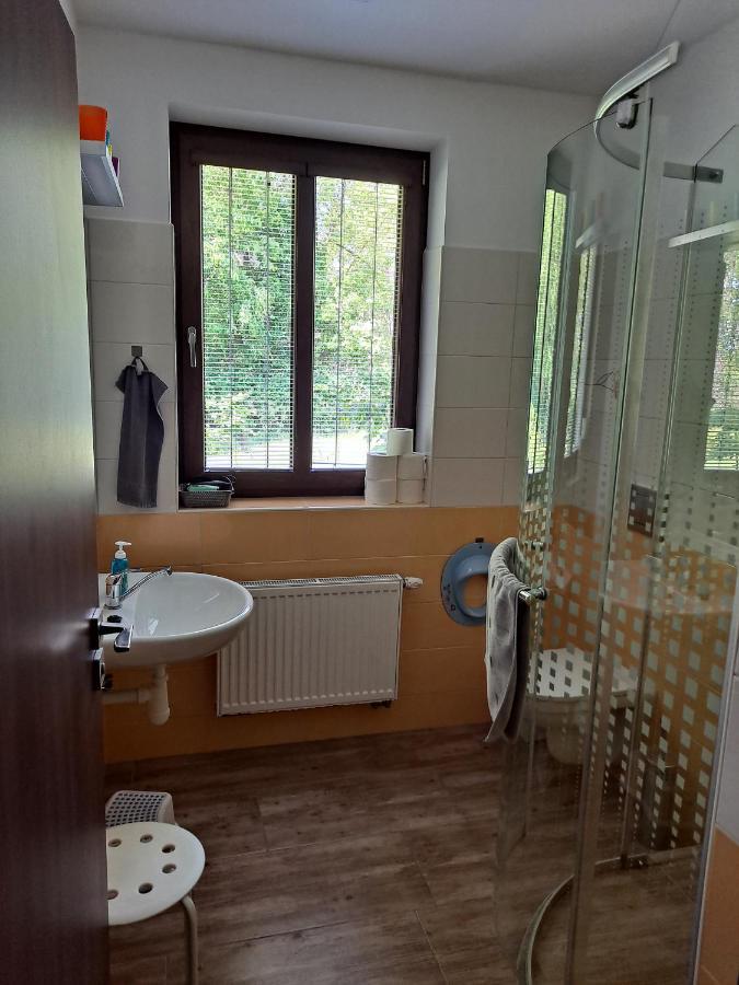 Penzion Na Pohori Olesnice  Bagian luar foto
